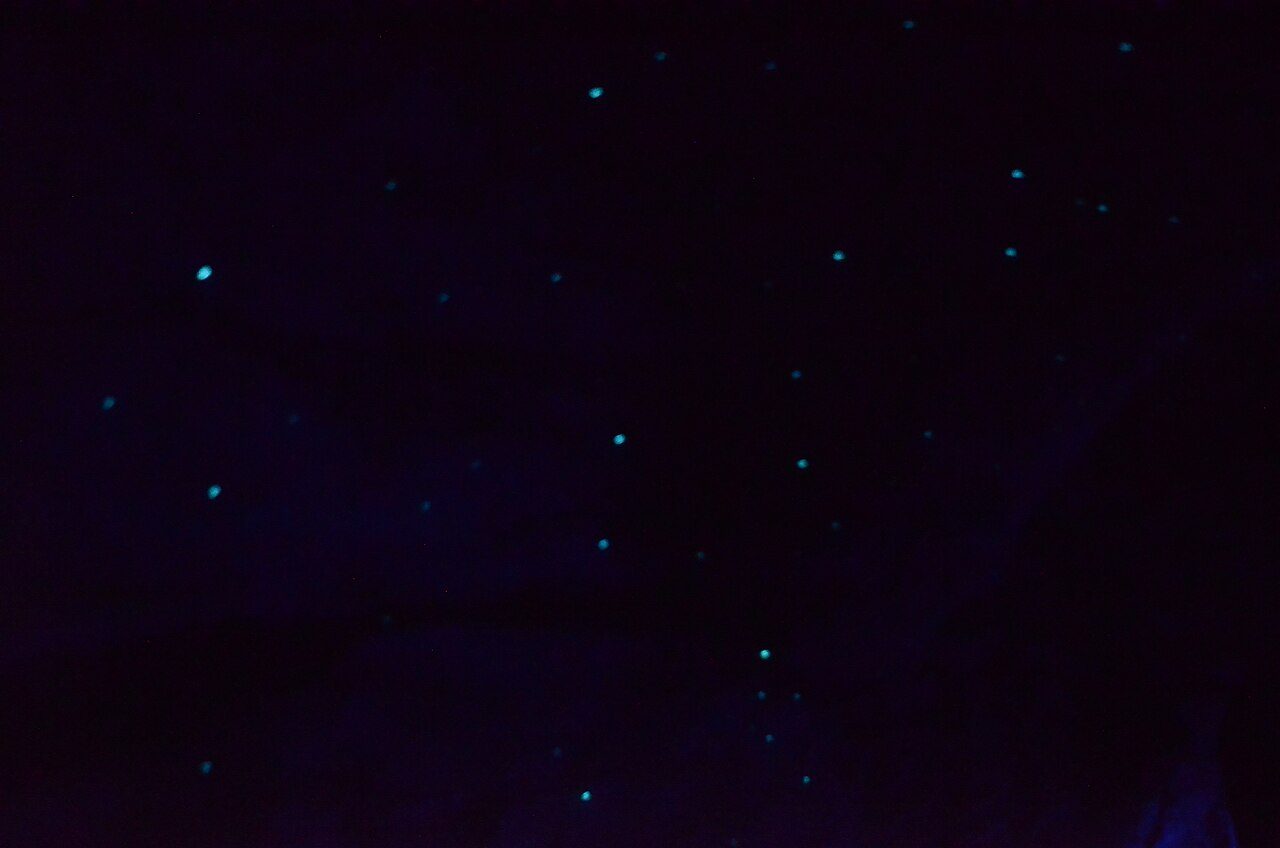 Te Anau Glowworm Caves